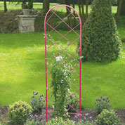 Metal Trellis for Climbing Plants